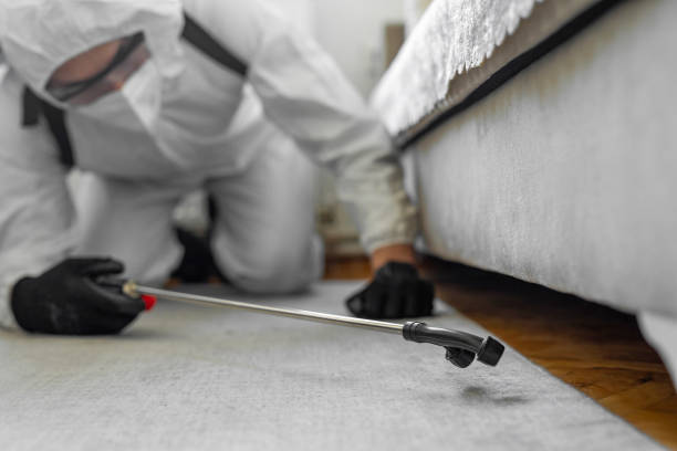 Professional Bed Bug Control technician working in Hayward, CA