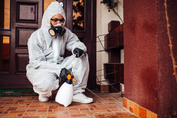 Reliable Bed Bug Control contractor in Hayward, CA by Nex Pest Control